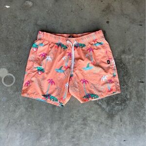 Men’s medium Hollister swim trunks (5inch inseam)